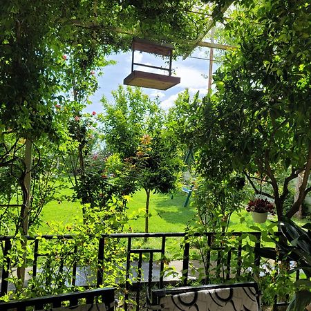 Room With Private Garden Shkoder Ngoại thất bức ảnh
