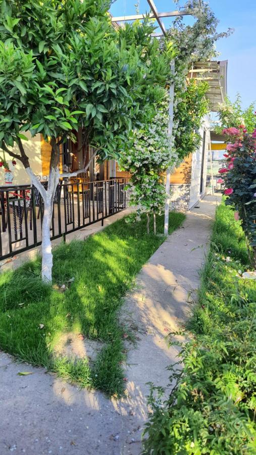 Room With Private Garden Shkoder Ngoại thất bức ảnh