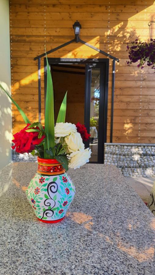 Room With Private Garden Shkoder Ngoại thất bức ảnh
