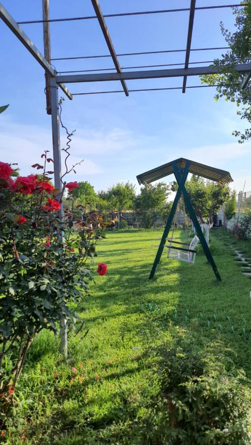 Room With Private Garden Shkoder Ngoại thất bức ảnh