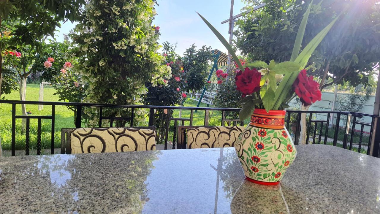 Room With Private Garden Shkoder Ngoại thất bức ảnh