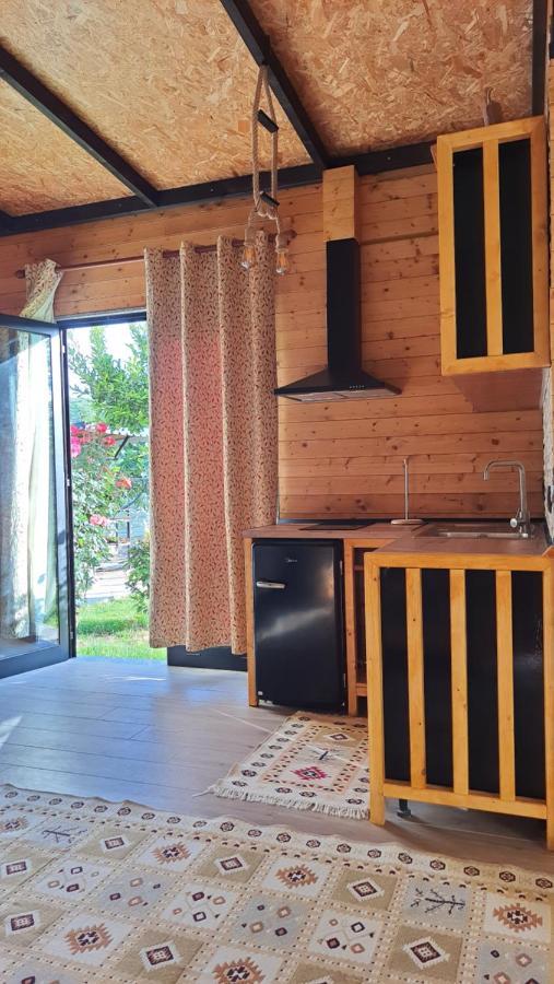 Room With Private Garden Shkoder Ngoại thất bức ảnh