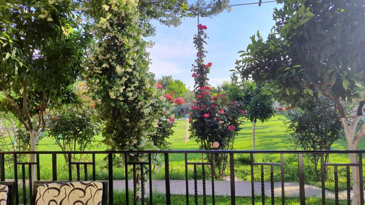 Room With Private Garden Shkoder Ngoại thất bức ảnh